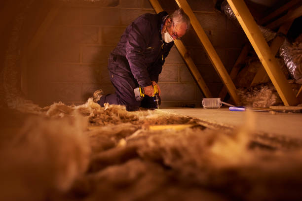 Best Insulation Installation Services in Maben, MS